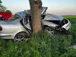 19-latek zjechał z drogi i uderzył w drzewo. Nie żyje