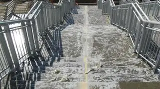 Schody prowadzące na stadion 