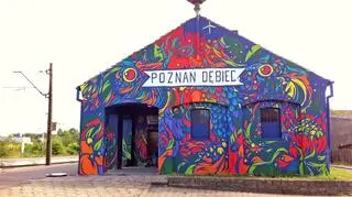 Wspólne dzieło Swanskiego i mieszkańców miasta 