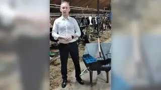 Wójt wydoi krowę, posprząta w oborze 