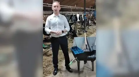 Wójt wydoi krowę, posprząta w oborze 