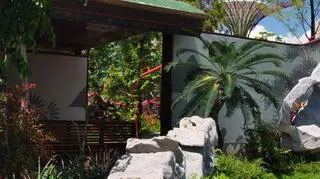 Gardens by the Bay