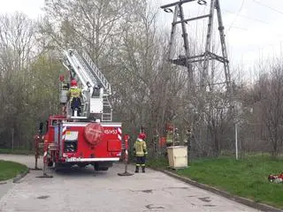 12-letni chłopiec wspiął się na słup wysokiego napięcia
