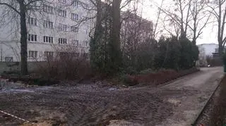 Teren wewnątrz zoo jest stale modernizowany 