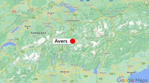 Szczekające psy uratowały porwanych przez lawinę ludzi