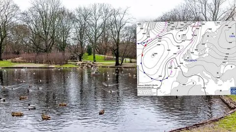 meteo sklej park