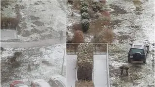 The man was shooting boar in the middle of the estate