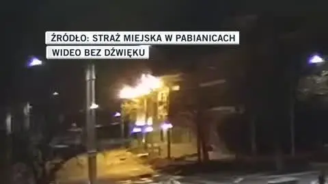 Straż Miejska w Pabianicach