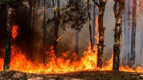 Mapa zagrożenia pożarowego, a na niej wiele czerwonych obszarów