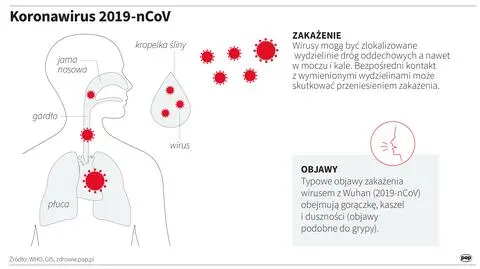 Ponad 30 przypadków koronawirusa w Czechach. "Objawy bardzo łagodne"