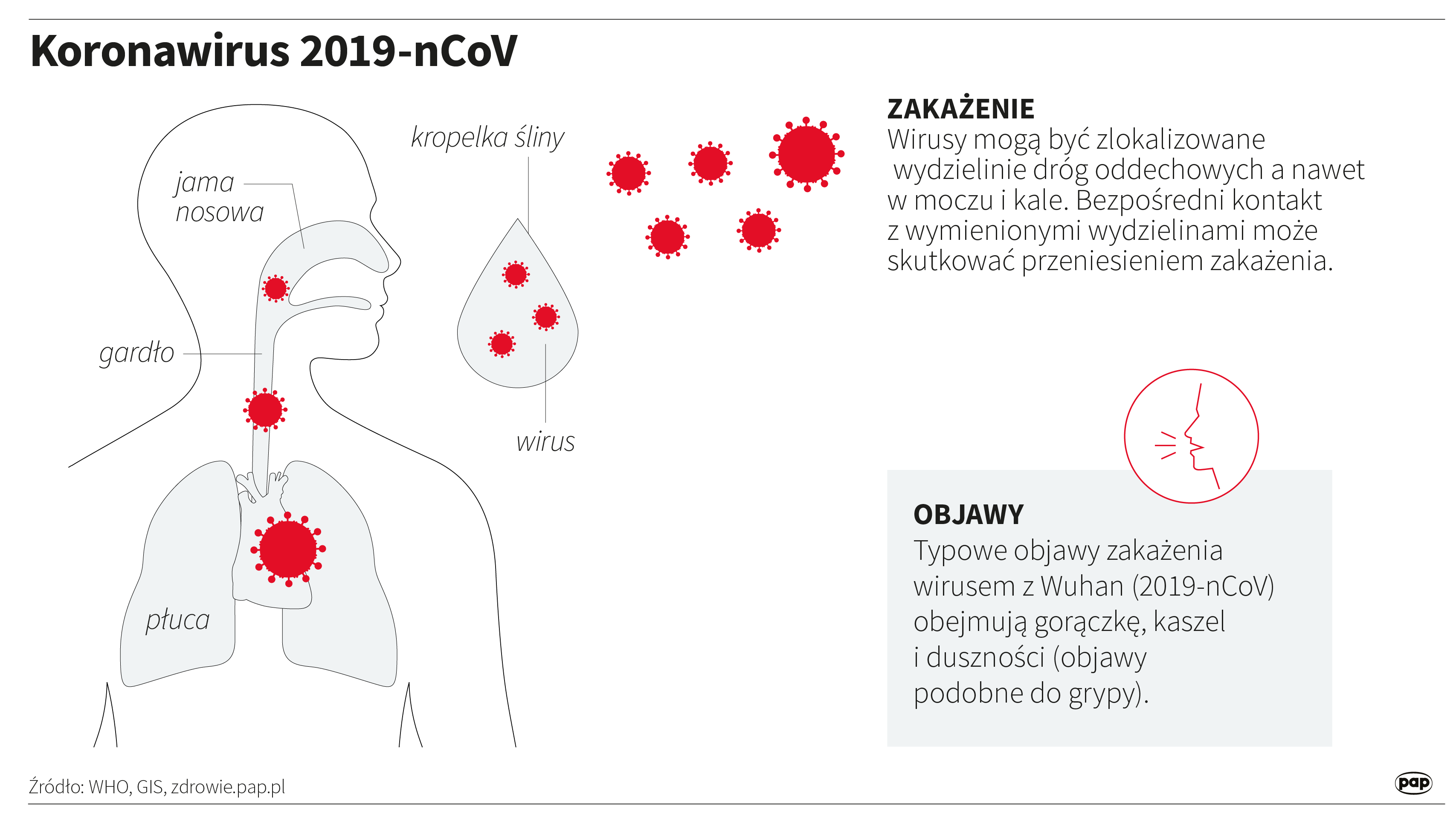 Aktualnie czytasz: Kolejni zakażeni w izolowanym hotelu na Teneryfie. Wszyscy goście objęci 14-dniową obserwacją