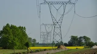 Doinwestowania wymagają krajowe sieci elektroenergetyczne, zarówno linie wysokiego, jak i średniego oraz niskiego napięcia