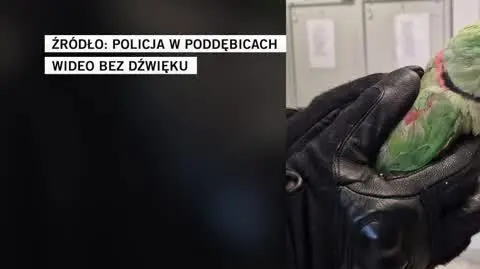 Policja w Poddębicach