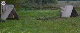 Prowizoryczne budy w których mieszkać miały psy