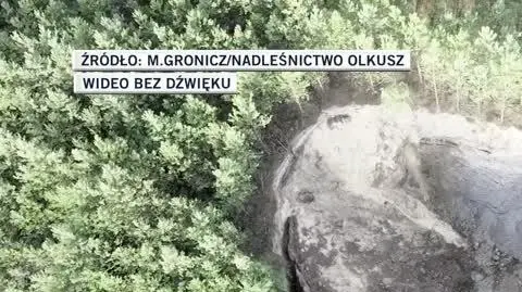 Nadleśnictwo Olkusz
