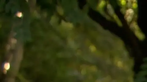 Prokurator Jarosław Onyszczuk o sprawie prokurator Ewy Wrzosek