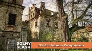 Dziewin