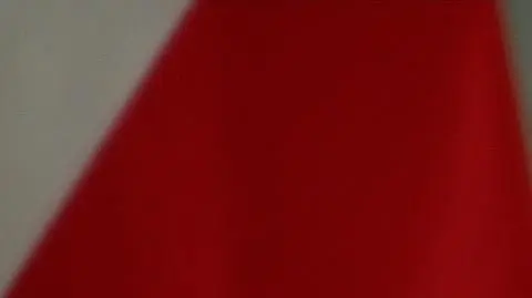 Kidawa-Błońska: codziennie rozmawiam z Borysem Budką o tym jak prowadzić dalej kampanię 