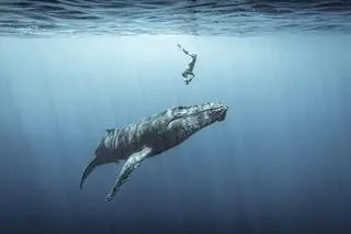 Sebastien Pontoizeau, trzecia nagroda w kategorii Ocean Adventure Photographer of the Year 2021
