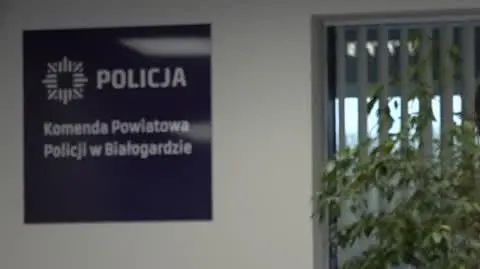 policja
