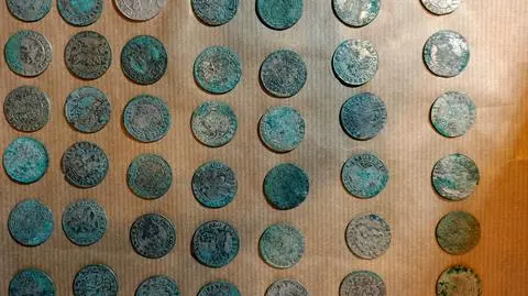 Spadł z roweru. Podnosząc się, zauważył monety. Ktoś ukrył je ponad 350 lat temu