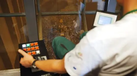 Każdy mieszkaniec Krakowa produkuje 360 kilogramów śmieci rocznie. Jak działa ekospalarnia?
