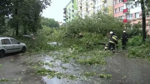 Wiatrołomy, nieprzejezdne ulice i brak prądu. Strażacy mają za sobą pracowitą dobę
