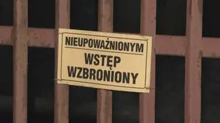 Pies na co dzień był w kojcu. Prokuratura sprawdza, jak to się stało, że w momencie tragedii swobodnie biegał po podwórku