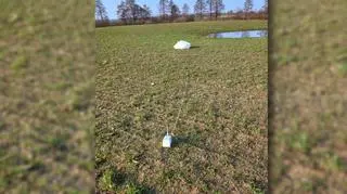 Balon, który spadł na pole koło Ostródy