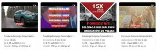 Dane dotyczące wybranych reklam FRGI