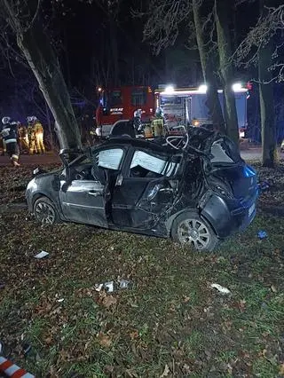 Uniknął zderzenia z sarną. Uderzył w drzewo