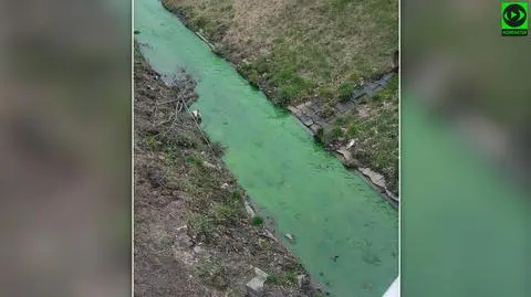 Rzeka Mleczna, ale woda zielona. Nie wiadomo, jaka jest przyczyna. Pobrano próbki