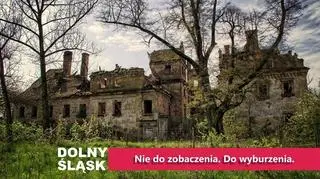 Dziewin