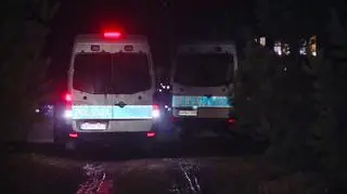 Aktywiści naliczyli około dwunastu radiowozów