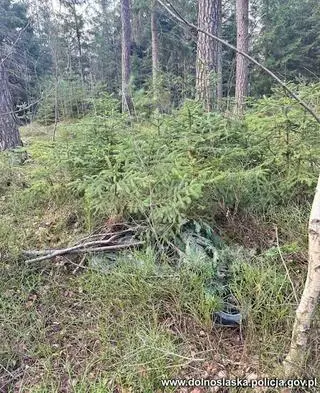 Mężczyzna ukrył hulajnogę w lesie