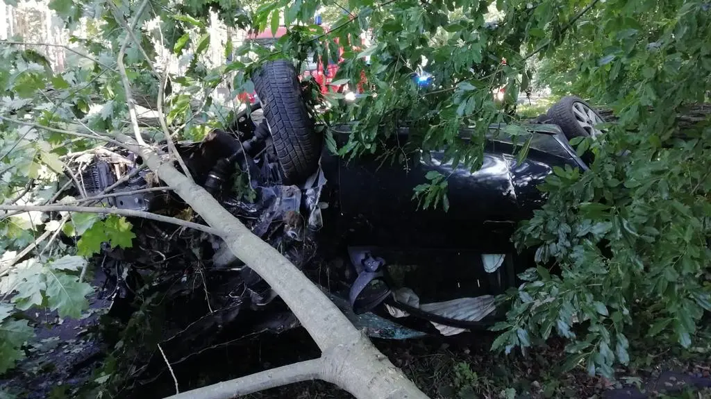 Drzewo przygniotło auto