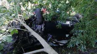 Drzewo przygniotło auto