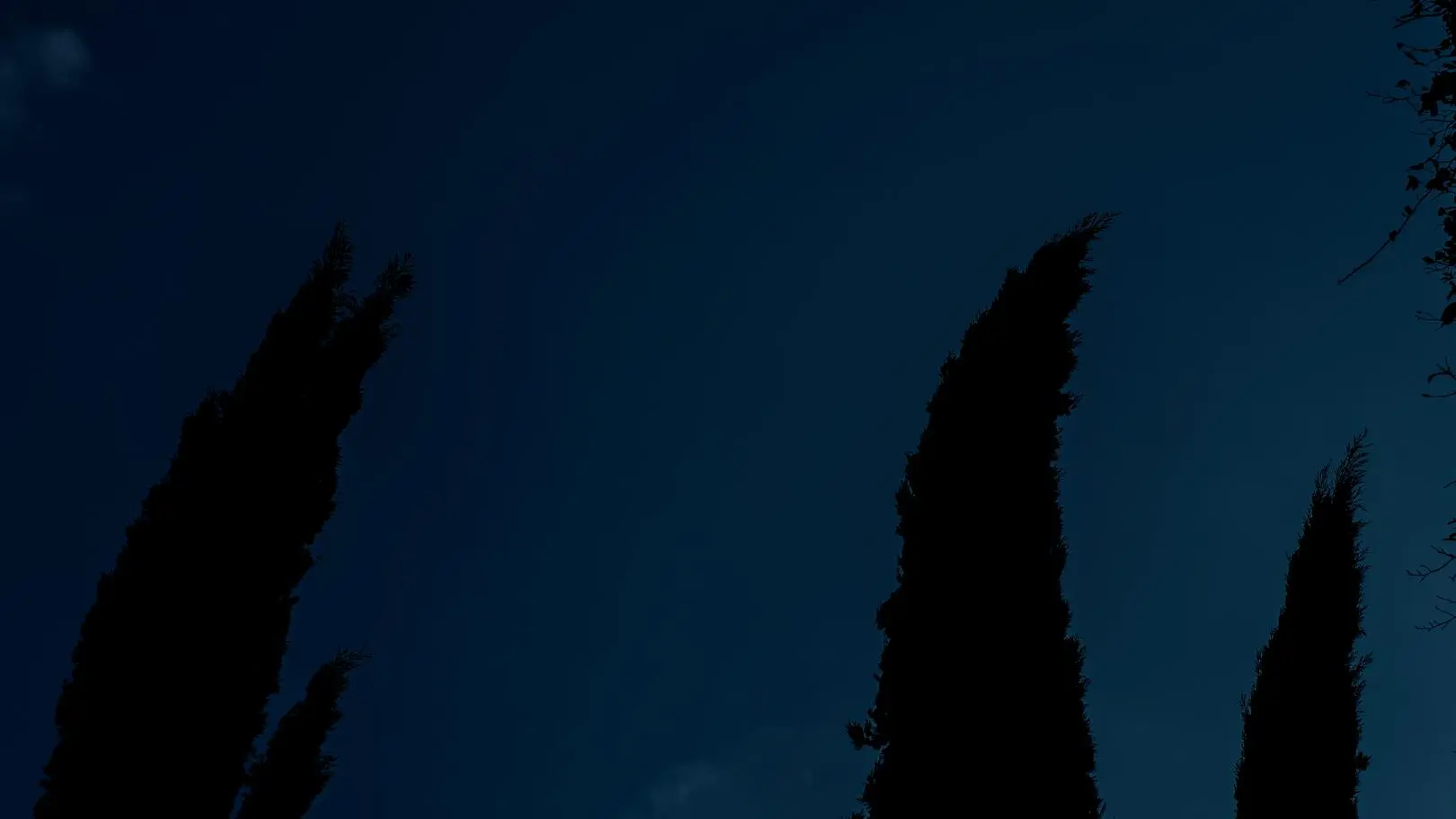 Silny wiatr w Polsce. Tu podmuchy mają być najdotkliwsze