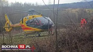 12-latka ranna na półkolonii. Wbiegł w nią koń