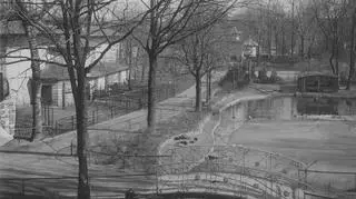 Zoo w 1931 r
