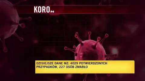 Ministerstwo Zdrowia: ponad 4 tysiące nowych zakażeń, zmarło 227 osób