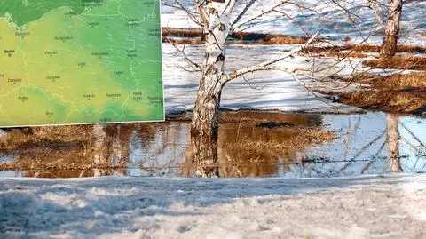 Pogoda na 5 dni: "wchodzimy we wczesną wiosnę"