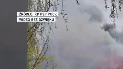 KP PSP Puck