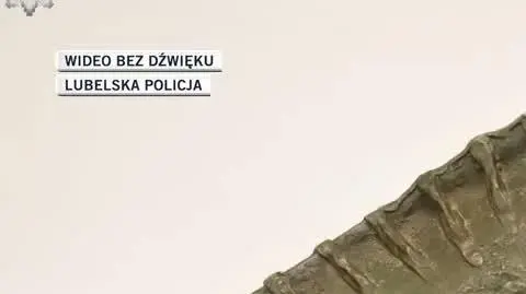 Lublin__ukradli_krasnala_i_jaszczurk__1632122677578