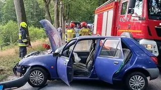 Policja: przez kota stracił panowanie nad autem