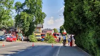 Drzewo przewróciło się na jadące auto