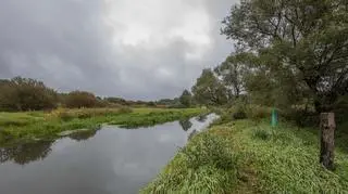 Pochmurno, deszczowo i chłodno