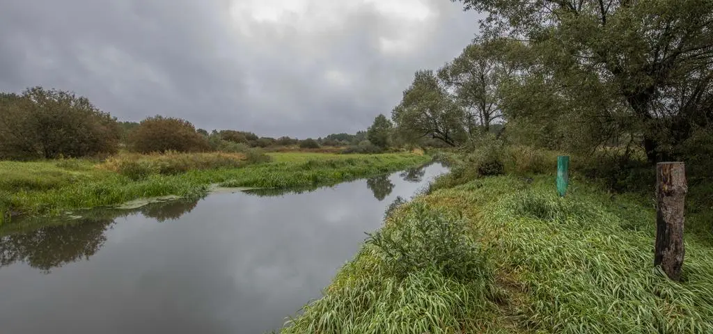 Pochmurno, deszczowo i chłodno