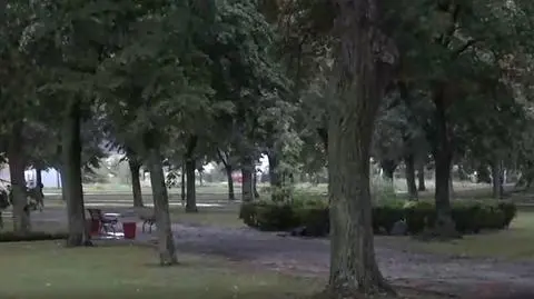 Piorun uderzył w park. Dzieci wśród poszkodowanych