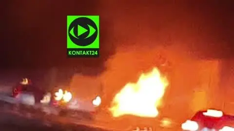 Pełnomocnik rodziny